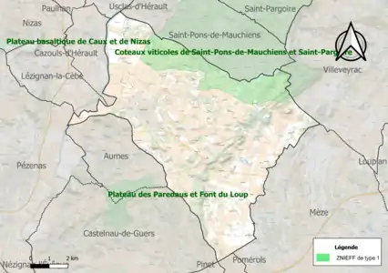 Carte de la ZNIEFF de type 1 sur la commune.