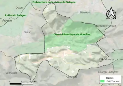 Carte de la ZNIEFF de type 1 sur la commune.