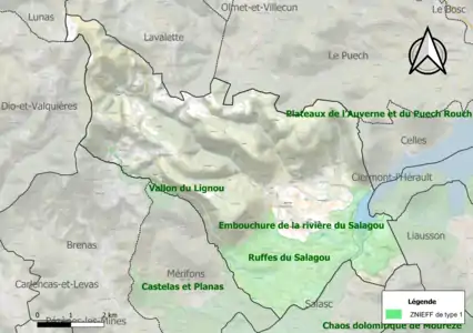 Carte des ZNIEFF de type 1 sur la commune.