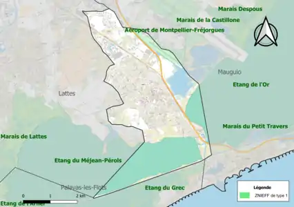 Carte des ZNIEFF de type 1 sur la commune.