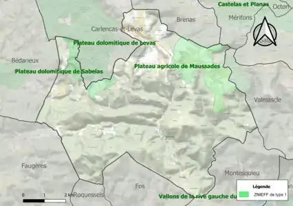 Carte des ZNIEFF de type 1 sur la commune.