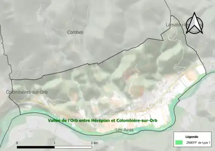 Carte de la ZNIEFF de type 1 sur la commune.