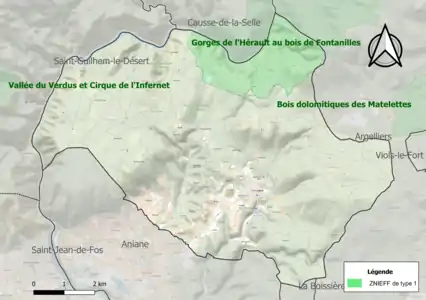 Carte de la ZNIEFF de type 1 sur la commune.