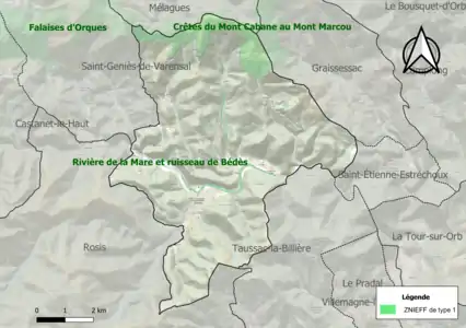 Carte des ZNIEFF de type 1 sur la commune.