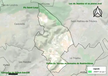 Carte de la ZNIEFF de type 1 sur la commune.