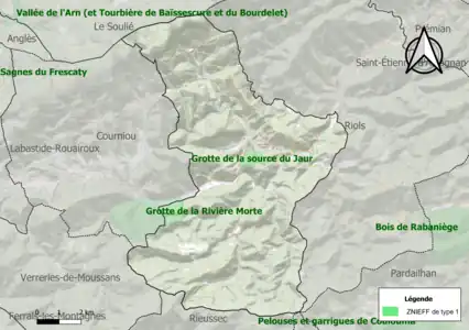 Carte des ZNIEFF de type 1 sur la commune.