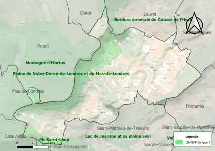 Carte des ZNIEFF de type 1 sur la commune.