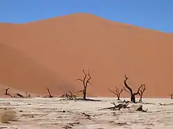 La dune 9 et les arbres morts de Dead Vlei.