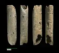 Fragments de flûte paléolithique.
