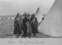 Trois Nez-Percés
