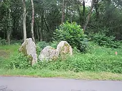 Allée couverte de Lann Vraz, au sud du Croaziou.