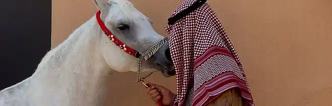 Photo panoramique d'un homme en turban qui semble embrasser son cheval sur le museau.