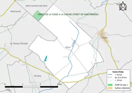 Carte de la ZNIEFF de type 1 localisée sur la commune.