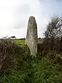 Le menhir de Luguénez.