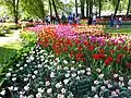 Festival des tulipes sur l'île Yelagin, 2018