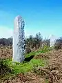 Les menhirs de Troanigou.