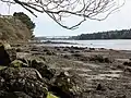 La rive gauche de l'estuaire de l'Odet entre Porz Guen et Porz Garo.