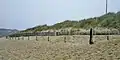 Ganivelles mises en place pour tenter de freiner le recul de la dune sous l'action de l'érosion marine sur la plage du Loc'h.