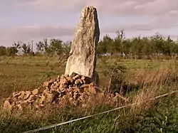 Menhir des Pins