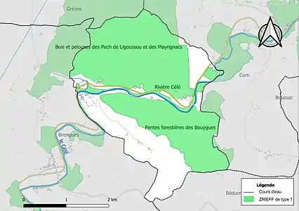 Carte des ZNIEFF de type 1 sur la commune.