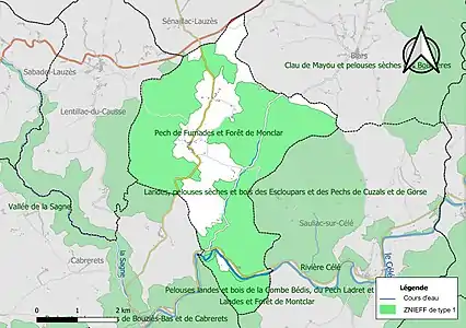 Carte des ZNIEFF de type 1 sur la commune.