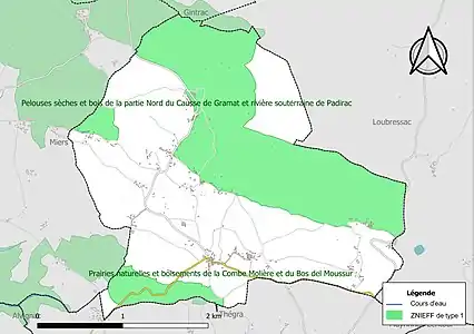 Carte des ZNIEFF de type 1 sur la commune.