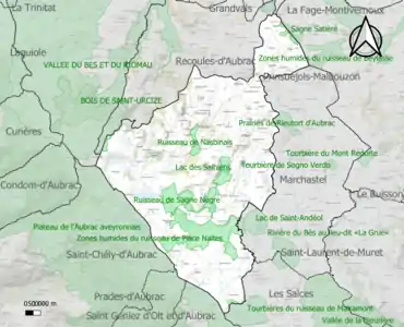 Carte des ZNIEFF de type 1 sur la commune.