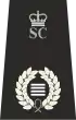 Chief Officer MSC