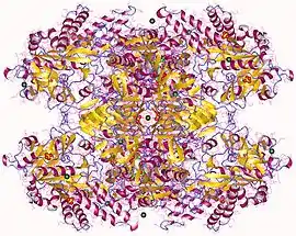 Image illustrative de l’article UDP-glucose pyrophosphorylase