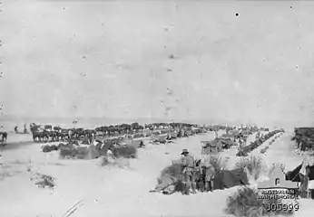 4e régiment monté australien à Khan Younès, août 1917.