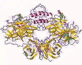 Image illustrative de l’article Dopamine bêta-hydroxylase