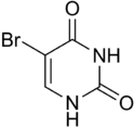 Image illustrative de l’article 5-Bromouracile