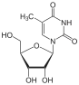 structure chimique de la ribothymidine