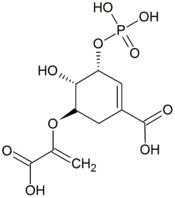Image illustrative de l’article Acide 5-O-(1-carboxyvinyl)-3-phosphoshikimique