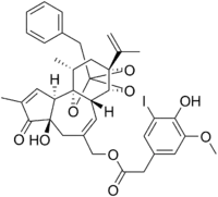 Image illustrative de l’article Iodorésinifératoxine
