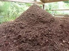 Le musée de l'Abeille Vivante et la Cité des Fourmis, fourmilière de fourmis des bois.