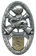 Image illustrative de l’article 509e régiment de chars de combat