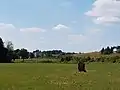 Le menhir avec le bourg du Genest en arrière-plan.