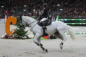 Fardon, cheval de sport espagnol, au concours hippique international de Genève de 2014.