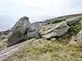 Affleurements d'orthogneiss entre les plages de Guendrez et de Mesperleuc.