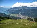 Vue sur Interlaken et le lac de Thoune depuis  le tracé de la Schynige Platte