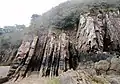 Falaises de l'enclave d'Argol : roches redressées à la verticale 4.