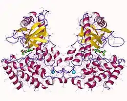 Image illustrative de l’article GMP-AMP cyclique synthase