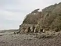 Les falaises du côté nord de la Pointe du Château, roches redressées à la verticale.