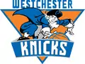 Logo des Knicks de Westchester (2014-2015)