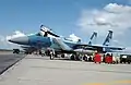 Alignement de F-15 des Agressors du 65th Squadron en 2007 avant leur départ pour l'Alaska.