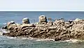 Trégunc (entre la Pointe de la Jument et la plage de Pendruc) : rochers façonnés par l'homme (forme arrondie et base circulaire horizontale), pouvant laisser supposer l'existence à cet endroit d'un ancien lieu de culte préhistorique 1.