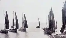 Chaloupes sardinières rentrant au port de Douarnenez (vers 1907)