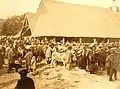 La foire aux vaches du Faouët (photographie de Philippe Tassier, entre 1908 et 1912).