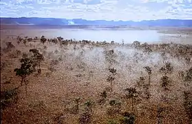 Vue aérienne d'un nuage de criquets à Madagascar.